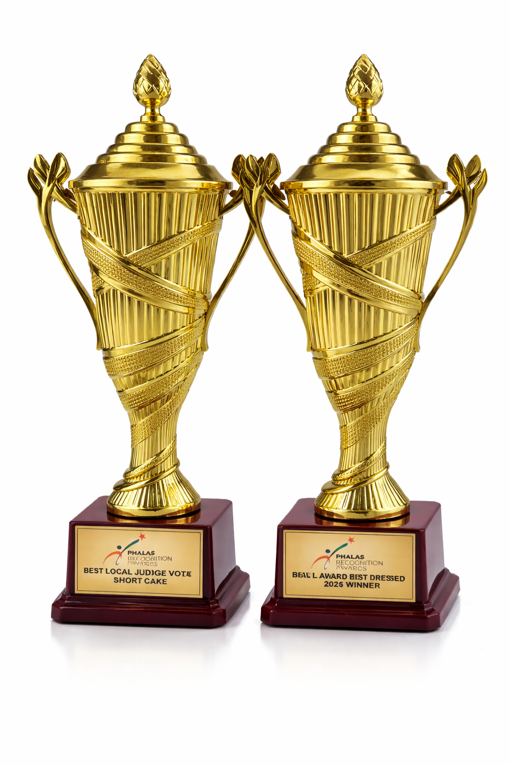 Custom Gold Trophy Award – Photo World Lab