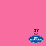 2,72X11M Savage #37 Tulip Seamless Background Paper
